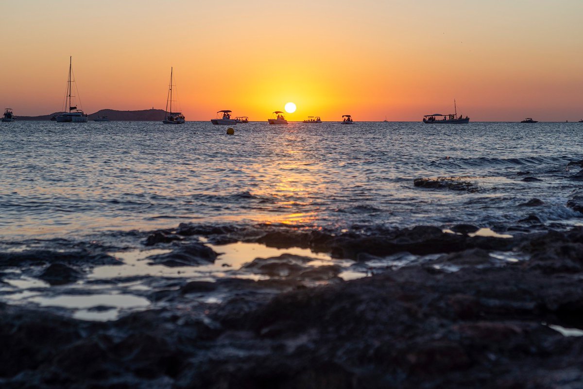 Cafe Mambo Ibiza tweet media