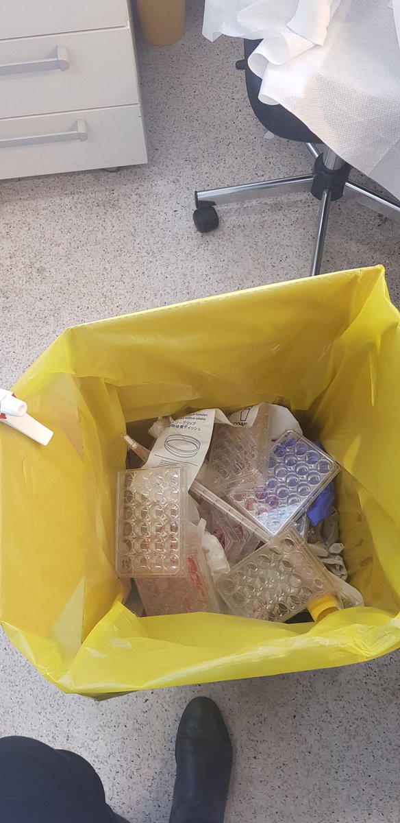 Those plates were results of weeks/months of work...but decided to trash them all despite being given the chance to have some access to the lab -  people's lives matter the most, No?!