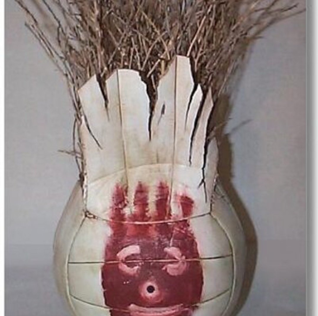 Primer día de cuarentena: He hecho un nuevo amigo. Se llama Wilson.