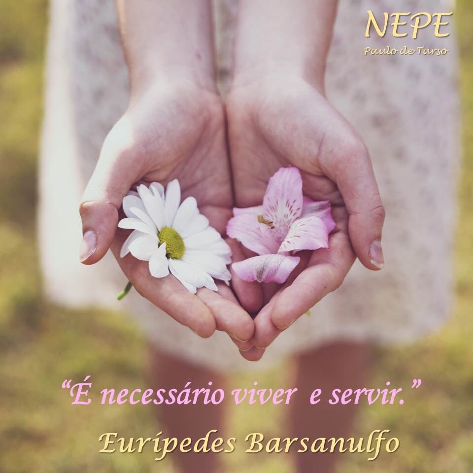 (O Espírito da verdade – Espíritos diversos/Chico Xavier e Waldo Vieira, cap. 12)