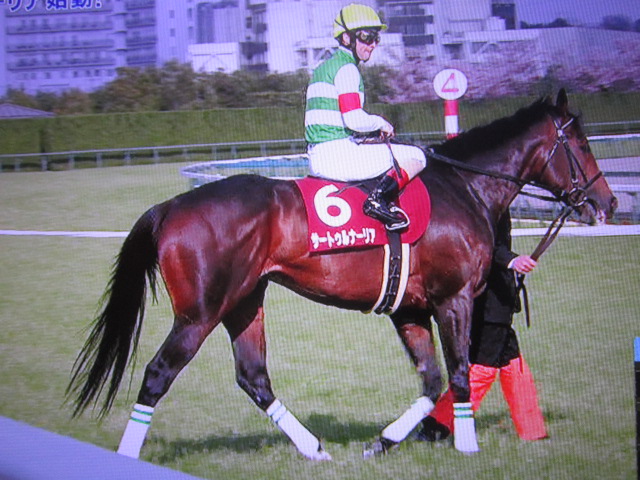 競馬 人が好きというエピソードがある馬といえばどんなウマがいるのだろう ウマ娘攻略まとめ速報 競馬 人が好きというエピソードがある馬といえばどんなウマがいるのだろう ウマ娘攻略まとめ速報