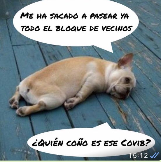 🤣🤣 #unpocodehumor #COVIDー19 #coronavirus