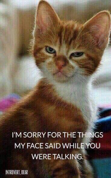 #Sundaymorningmusings....... am I the only one like this??? Anyone??? Hmmmmmmm??? Come on now... fess<a href="/tag/sundaymorningmusings"class="tags">#Sundaymorningmusings</a>