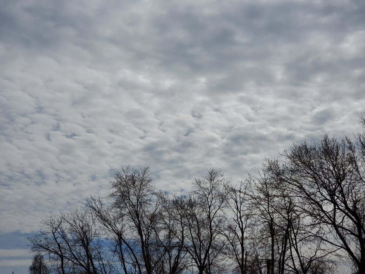 cgingrich529's tweet photo. Friday: Roo and Ollie reunite
Saturday, Day 1: Hiking with Ms. Scheckler and admiring the fantastic clouds!
Sunday, Day 2: Roo and Ollie taking naps while I feed my brain (podcasts and books).
@LowerDauphinMS what are you up to? #feedyourbrain #exerciseyourbody #stayhealthy https://t.co/VJaxOSlGZZ