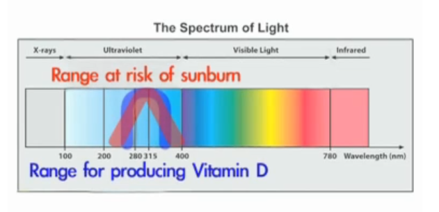 MorozkoForge's tweet photo. @AJezick The UVB spectrum is between 280-315 nm and the range for synthesizing Vitamin D goes a little higher, into the UVA range.  It's just that UVA is slower. https://t.co/m4DPhT7x1w https://t.co/ewXqj9BEnJ