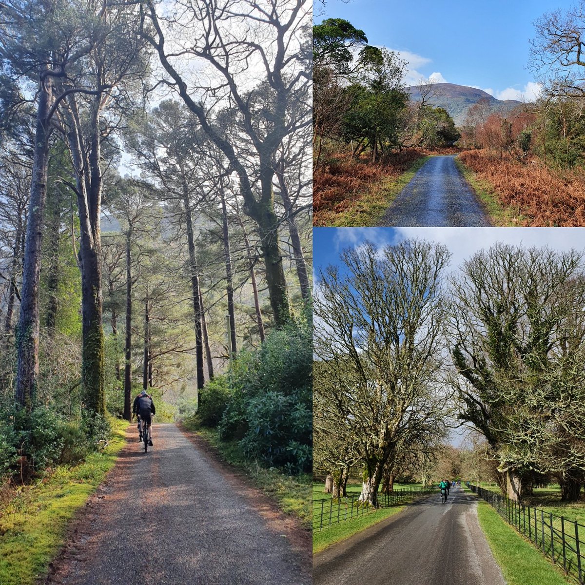 Killarney Tidy Towns tweet media