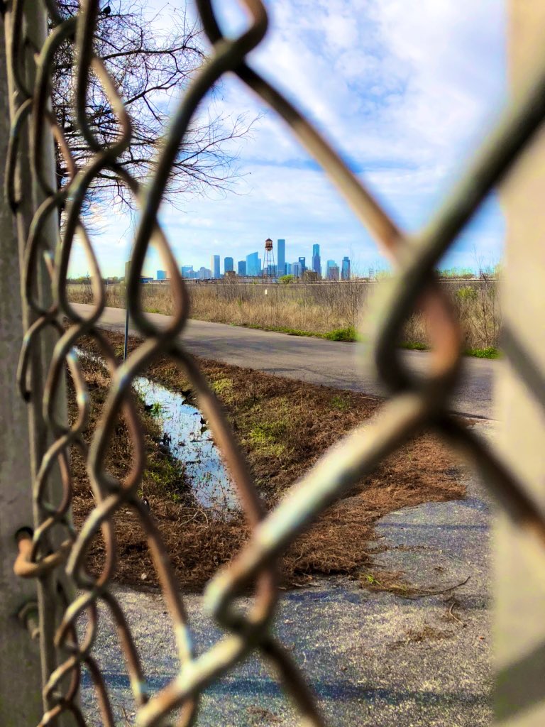 View of Houston from a kennel. Support your local shelters. #adopt #rescue #foster #spayandneuter #pets