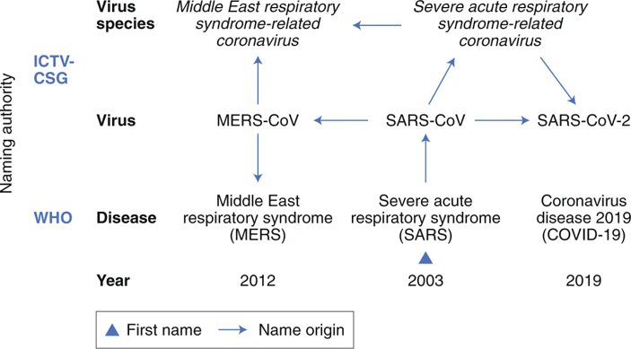This image represents the correct #terminology we all should use when referring to the coronavirus (#SARSCoV2) and its associated disease (#COVID19), along with individual pathogenic #viruses of immediate significance.

Obtained from a recent publication: nature.com/articles/s4156…