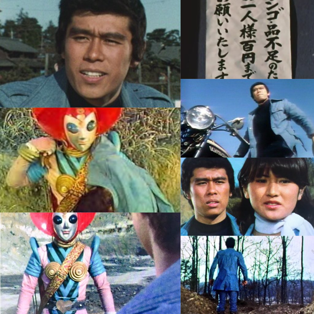 ビジンダーマリ 