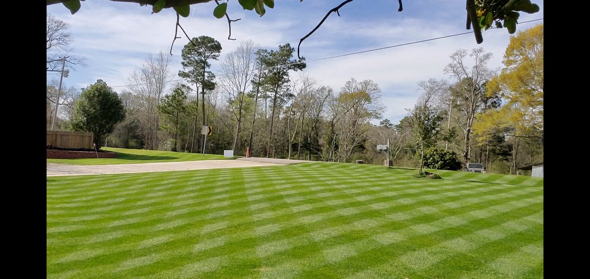 AllettUsa's tweet photo. So pleased to have received this picture from @yard_envy this morning!! In only two weeks this Mississippi lawn has been spectacularly transformed!! I get such a kick out of seeing &amp; being a small part of this, keep up the great work....!!!!  (Kensington 20H + Scarifier &amp; Reel). https://t.co/RZX5d2IuZ6