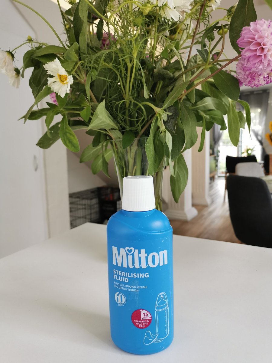 dischem bottle sterilizer