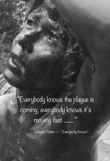 MCS_DIVERSIONS's tweet photo. The year of ‘The Pandemic’ https://t.co/ya8juAQQ7f https://t.co/zAqwlUoyhJ