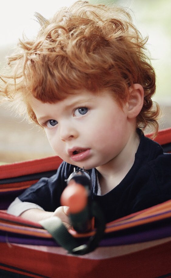 Hank50WR's tweet photo. #Nolan’s thoughts about the Coronavirus messing with his birthday party festivities. If anyone needs me, I’ll be social distancing myself from this terror. @Emily50WR  #ToddlersAreTerrifying https://t.co/oj89ydXP61