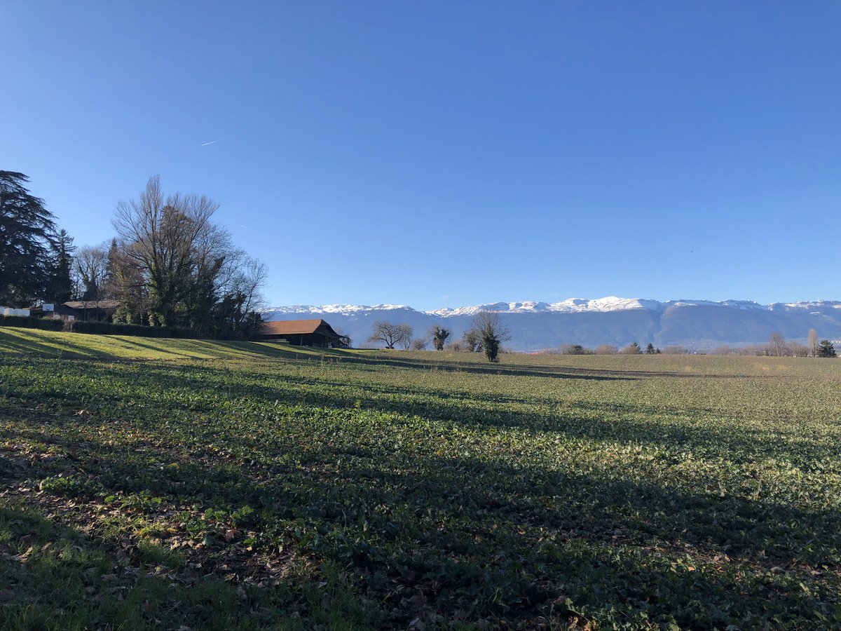 MarianneEjder's tweet image. #SeasonOfSpring #Pregny