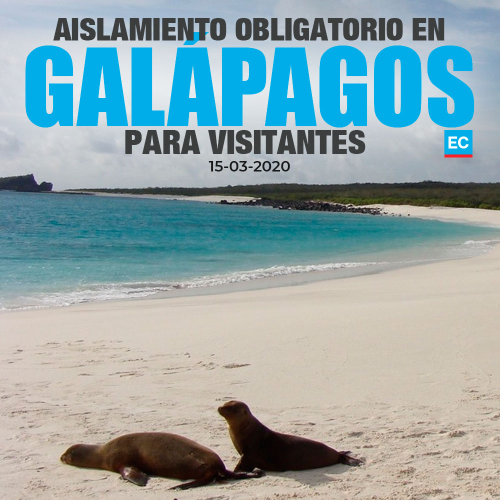 elcomerciocom's tweet photo. #Covid19 | Aislamiento obligatorio para visitantes en las islas Galápagos desde este domingo 15 de marzo del 2020. Detalles » https://t.co/kTdy39ngjX https://t.co/b6ILtU7uop