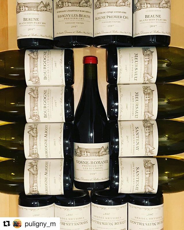 Roche de Bellene tweet media