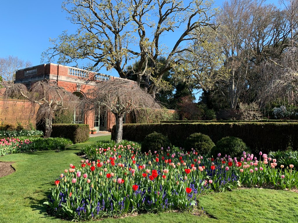 Filoli On Twitter The Bell Beds Are Blooming In The Walled