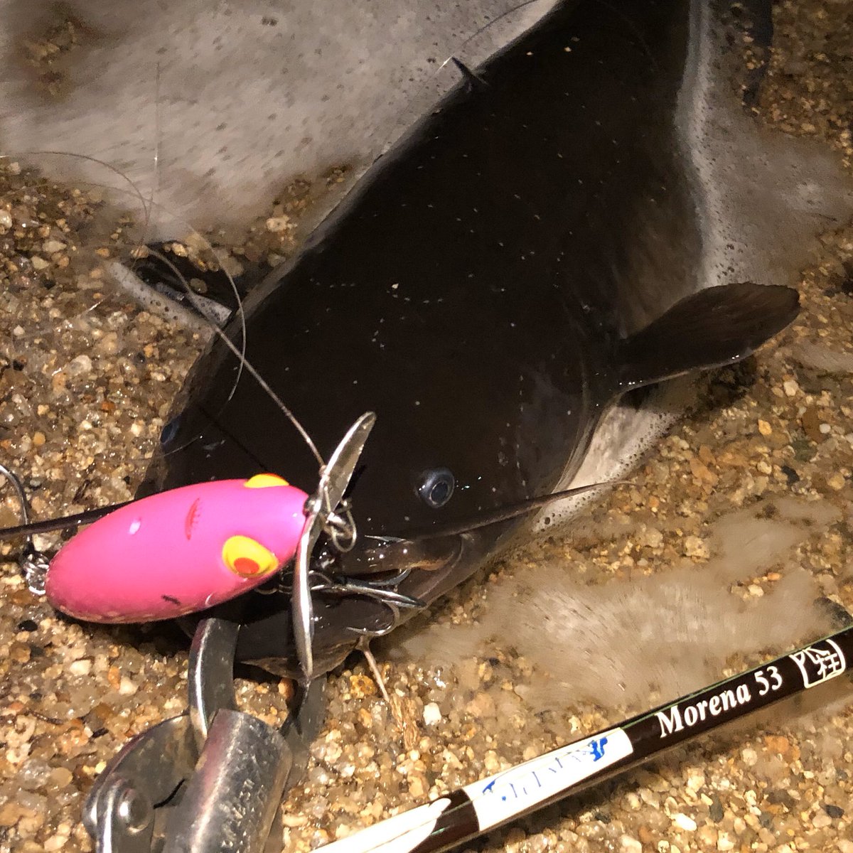 ショートロッド ショートロッド