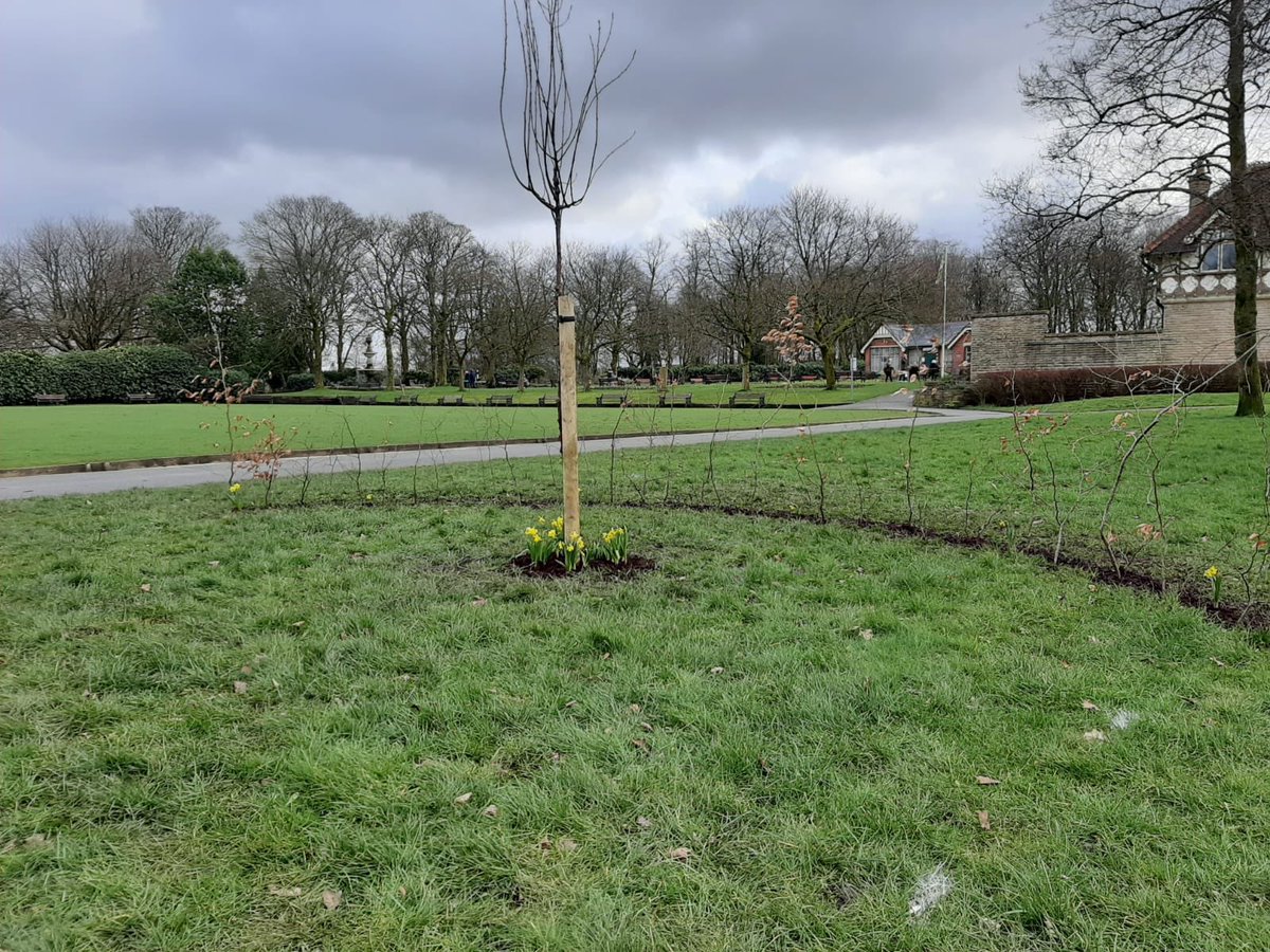 Together4Angels's tweet photo. We have been to plant some daffodils in the garden @Together4Angels #together4angels #ReflectionGarden #heywood #queenspark #babyloss #raisingawarness https://t.co/y3FqqudUmy