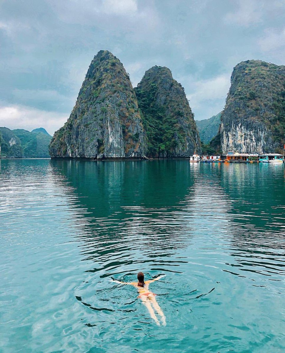 halongbaycabin's tweet photo. Swimming in the freshwater of Ha Long Bay 😍
📷: @doud_aroundtheworld
🌐 Website: https://t.co/08aByNNcay https://t.co/khd2aN4rSK