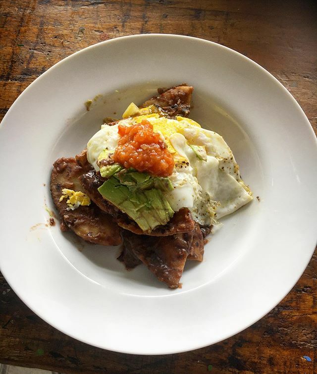 Goodloe Byron (@goodloebyron) on Twitter photo Channeling our inner lunch lady we took the extra time that we can’t spend out and about and made tortillas and homemade refritos and salsa for tacos last night which we turned into chilaquiles this morning. I know everyone is worried right now but the s… ift.tt/2w8s2DB Channeling our inner lunch lady we took the extra time that we can’t spend out and about and made tortillas and homemade refritos and salsa for tacos last night which we turned into chilaquiles this morning. I know everyone is worried right now but the s… ift.tt/2w8s2DB