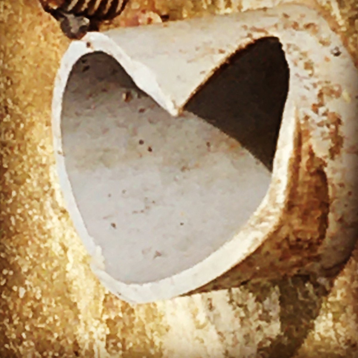 wayhip's tweet photo. Where will you experience love today? How will you share love today?
#love #foundheart #AfternoonWalk https://t.co/ArKthwfPN0