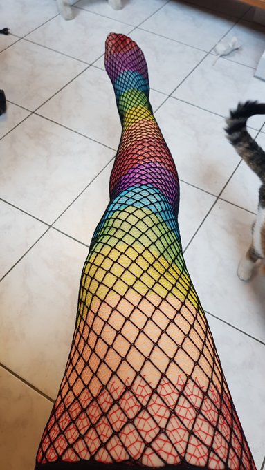 Showing off fishnets to help a client choose what they prefer to see on my legs. Which ones are your<a href="/tag/nsfw"class="tags"><span>#nsfw</span></a><a href="/tag/tgirl"class="tags"><span>#tgirl</span></a><a href="/tag/ts"class="tags"><span>#ts</span></a><a href="/tag/tg"class="tags"><span>#tg</span></a><a href="/tag/nakedundermyarmour"class="tags"><span>#nakedundermyarmour</span></a>