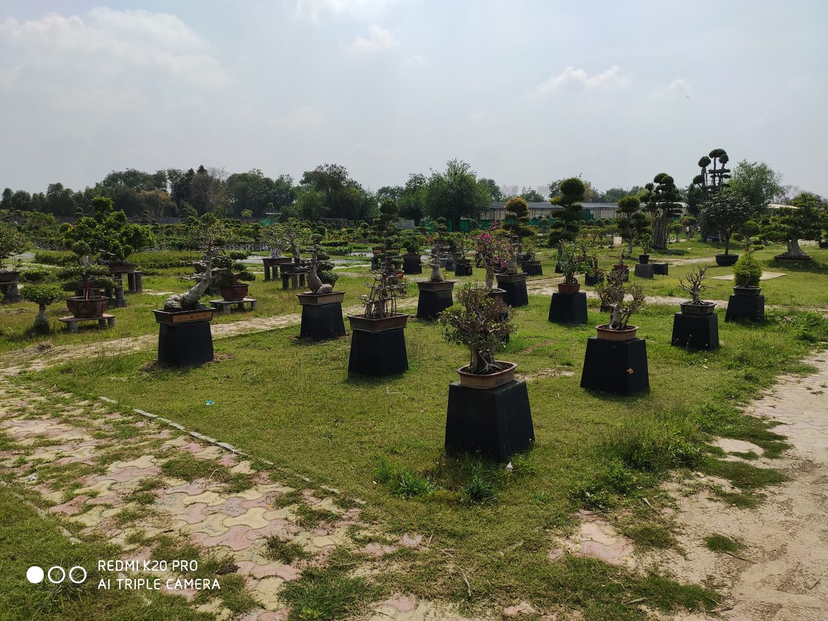 GreenGreno's tweet photo. Natural Beauty in Noida.
@dr_maheshsharma @PankajSinghBJP @CeoNoida @Satishmahanaup @PMOIndia
#cleangreennoida
#SwachhBharatMission https://t.co/1gMEV0rUId
