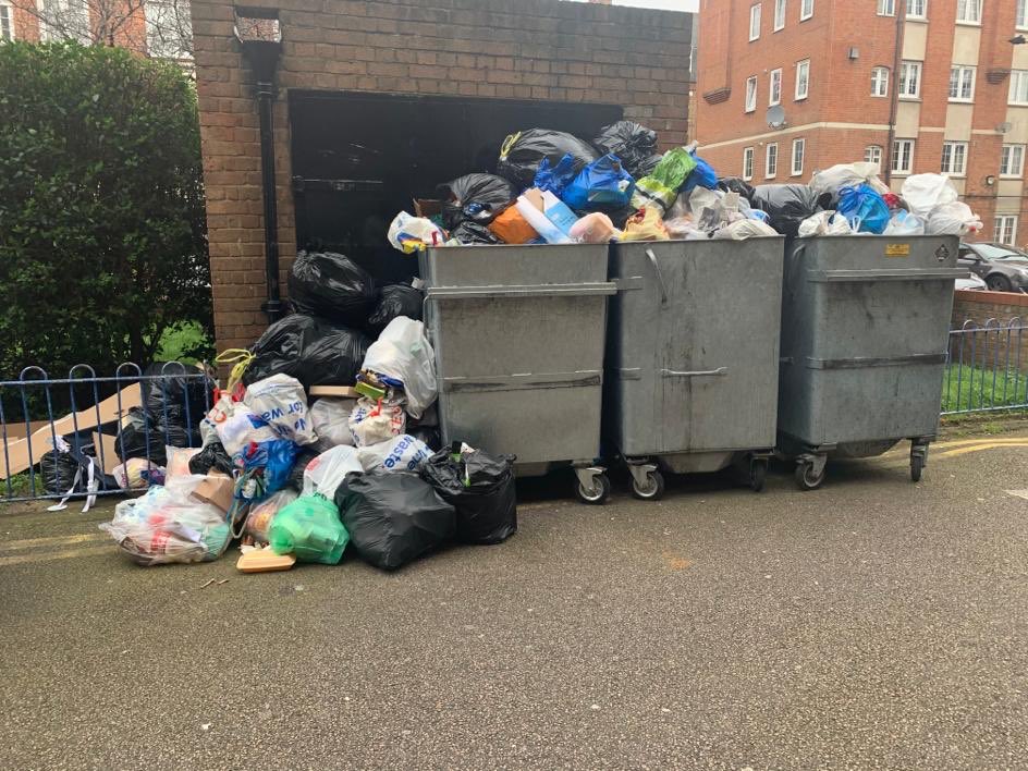 Rabina Khan tweet media