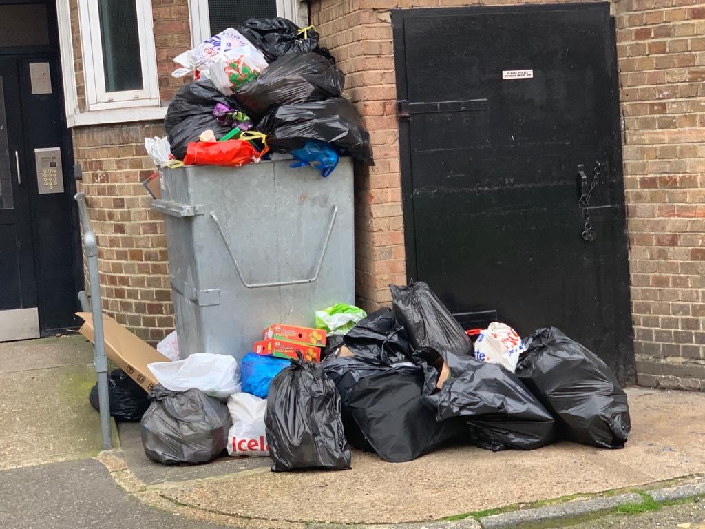 Rabina Khan tweet media