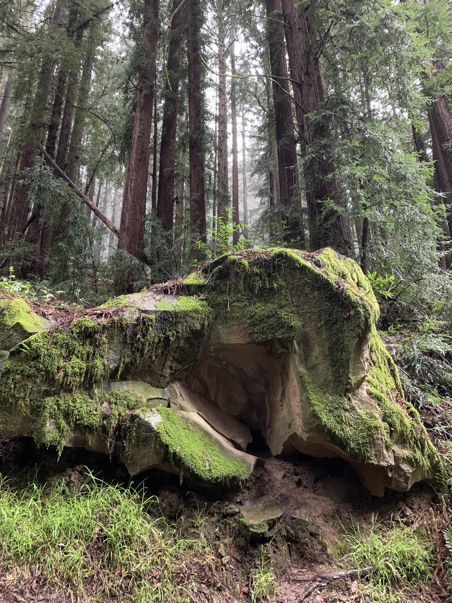 Bevan Barton tweet media