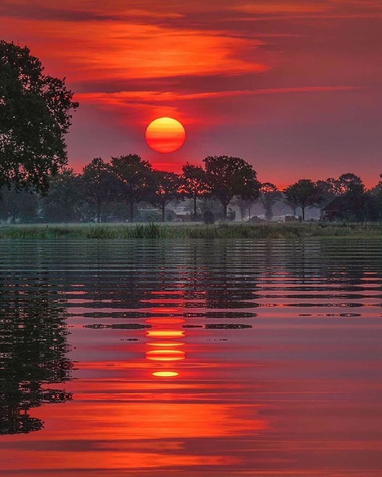 silicasun's tweet image. #SundayStuff TX @adventurewmike @cr_burman @ilenaHolder @LedueRichard @portbookandnews @mehrooz82 @saralippmann @C_Hartsuyker @joekap64 @crownofpetals @PaulCrenstorm @chbrownauthor @HaikuHare @Anders_Kingsley @SethSjostrom @MoralesGary @Kay_Miller58 @Scannell_Dan @Granterose 📕🌹