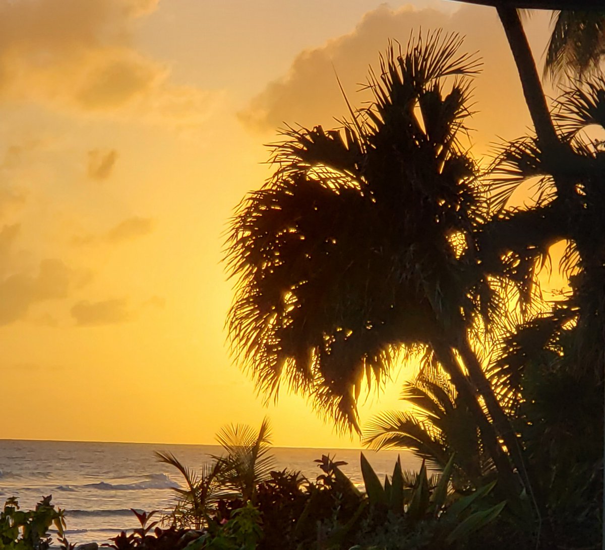 Tom shared one of his beautiful sunsets with us! Who else wants to compare notes?!?  #ChasingSunsets #SugarBaySunsets #VisitBarbados #SugarBayBarbados

📷<a href="/Tom/">Tom</a> OBrien