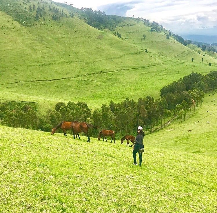 Kivu Beauty tweet media