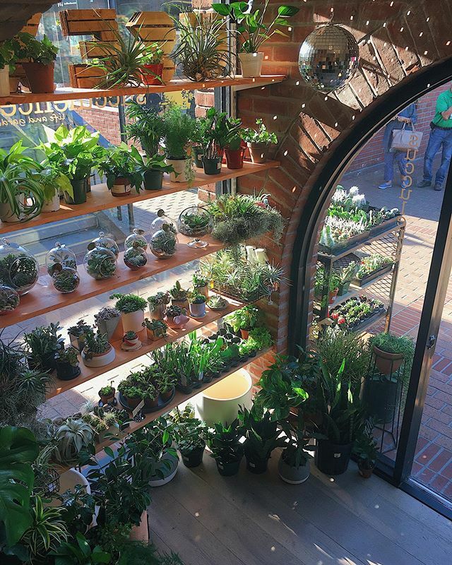 Hi everyone,
In light of changes that people around the world are making in response to COVID-19, and social-distancing recommendations, our Ghirardelli Square location will be temporarily closed. This will go into effect today, March 15, and will contin… ift.tt/39Uu3ll