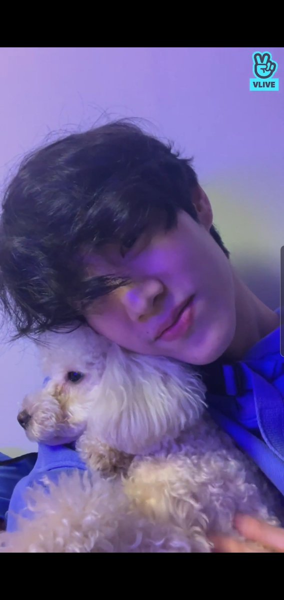 itsmark0904's tweet image. 마일로 아버님 안녕하세요. 으흐흐흐흐르 건강조심하시고 흑흑 넘 보고싶어요 ㅠㅠ❤