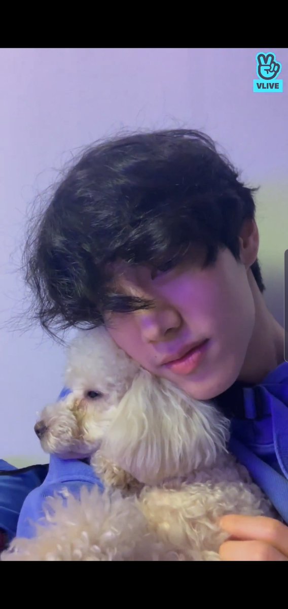 itsmark0904's tweet image. 마일로 아버님 안녕하세요. 으흐흐흐흐르 건강조심하시고 흑흑 넘 보고싶어요 ㅠㅠ❤