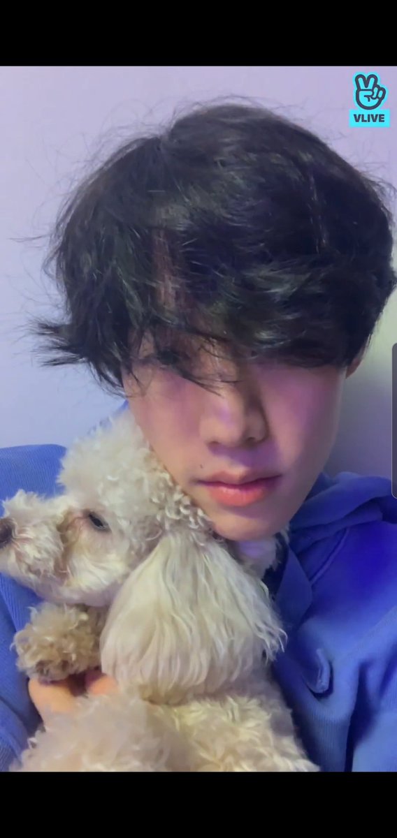 itsmark0904's tweet image. 마일로 아버님 안녕하세요. 으흐흐흐흐르 건강조심하시고 흑흑 넘 보고싶어요 ㅠㅠ❤