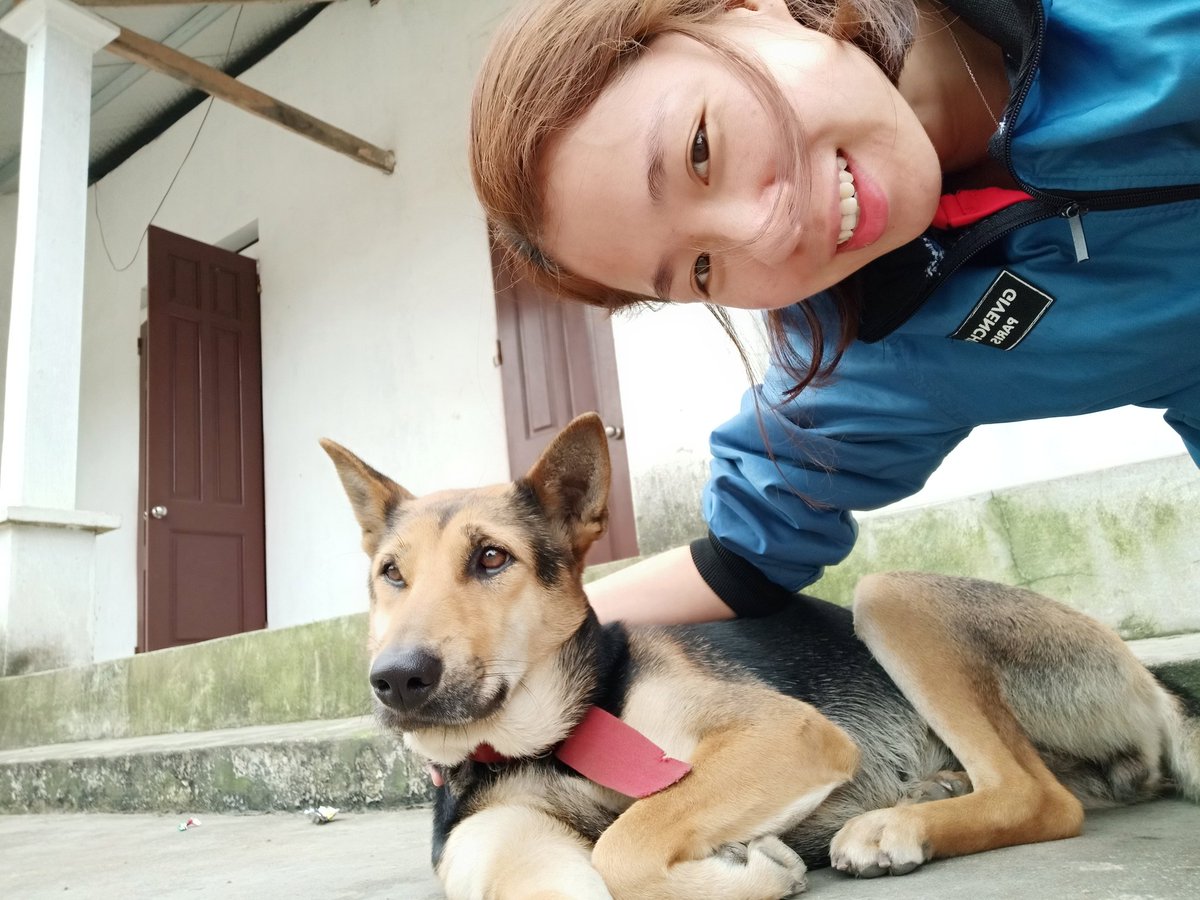 QuuynhTim's tweet photo. Nhìn mặt nó đi https://t.co/WDNH5AqHO5
