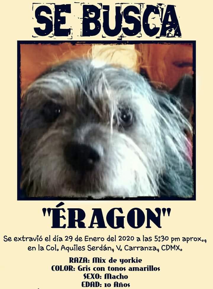 <a href="/AguirreAnaisa/">Ana Isabel Aguirre Velueta</a> <a href="/perrososmx/">🅿🅴🆁🆁🅾🆂🅾🆂🅼🆇</a> <a href="/SOSsalchichas/">Salchibukis …🆘 salchichas al rescate</a> <a href="/Alc_Iztapalapa/">Alcaldía Iztapalapa</a> <a href="/StaC_Meyehualco/">Sta Cruz Meyehualco</a> <a href="/SantaMeyehualc/">Santa Cruz Meyehualc</a> <a href="/MarianimaLOVERS/">#animaLOVERS</a> <a href="/mtz_tt/">B€TT¥ ツ</a> <a href="/iztalccihuatl/">Mary Sandoval 6476❤**</a> <a href="/misslagunera/">Miss Laguna</a> <a href="/EEYYYAA/">Eya ❣️</a> <a href="/acano52/">Arturo</a> <a href="/diana_dfc/">D I A N A 🐕 🐾 ❤️</a> <a href="/mariluzza/">Marilú ✨</a> <a href="/JerrxG13/">Jerrx Galicia</a> <a href="/JMRivaPalacio/">Mariano Riva Palacio</a> <a href="/lupomex1989/">FANTOMAS</a> <a href="/Unidos_Buscando/">¡Ayúdanos a encontrarlos!</a> <a href="/UbicapetMexico/">UBICAPET MÉXICO</a> <a href="/Apoyo_Croqueton/">Apoyo Croquetón</a> <a href="/UbiCanApp/">UbiCan</a> <a href="/mascotasdifunde/">Difusión de mascotas</a> <a href="/PpEncontradosMx/">PerrosEncontrados</a> <a href="/Extraviados_ddf/">Ayuda Canina</a> <a href="/UPALmx/">U.P.A.L (UNIÓN PRO ANIMAL LIBRE)</a> Nosotros seguimos buscando a Eragon!!! No se olviden de compartir que nosotros no dejaremos de buscarlo