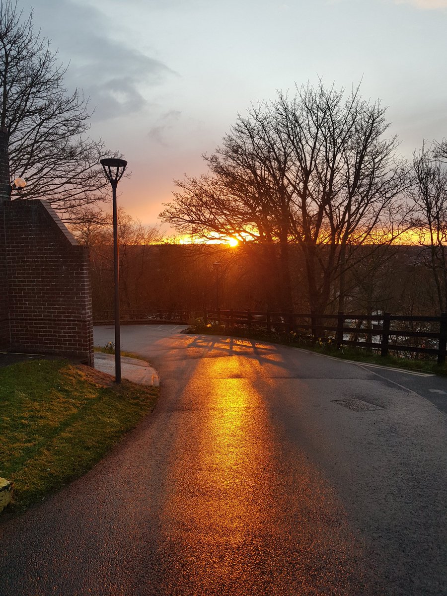 Simon_Cromer_Maintenance tweet media