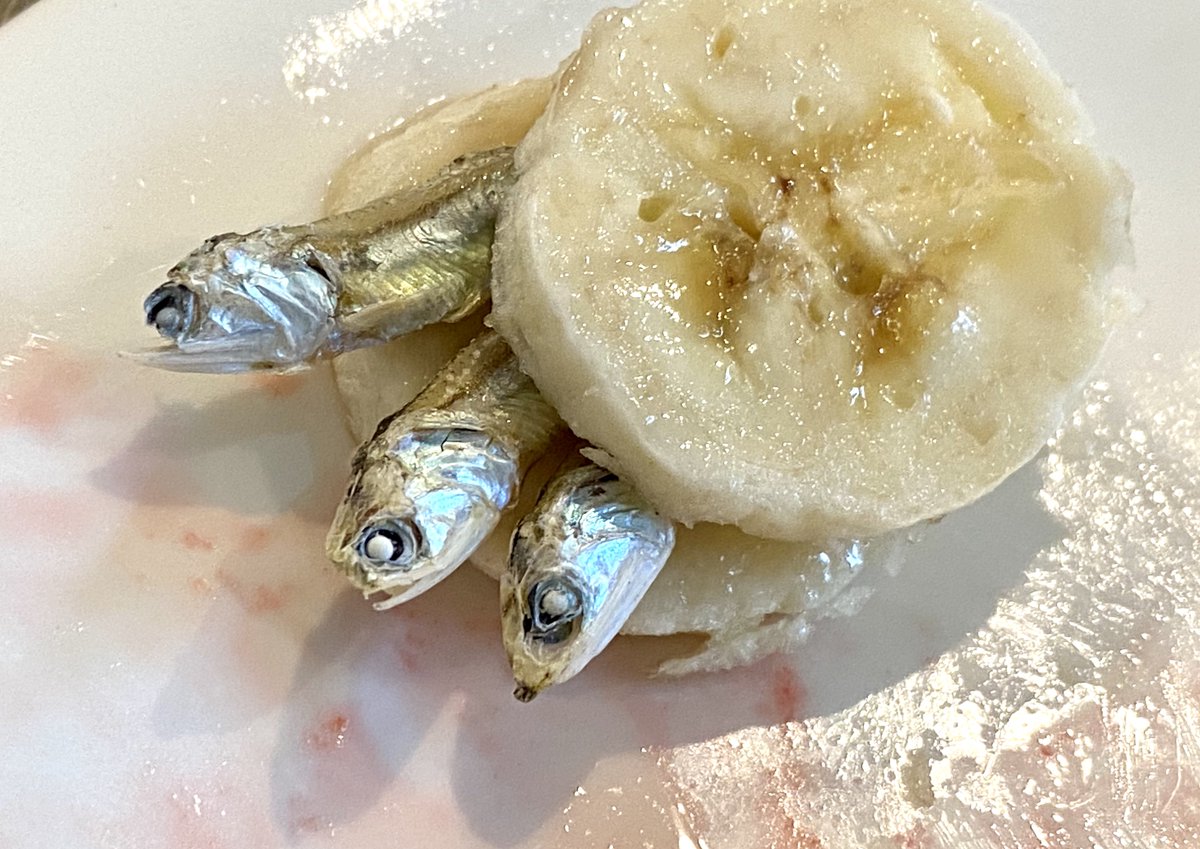 #corona blues got you down? Try an anchovies on banana sandwich!