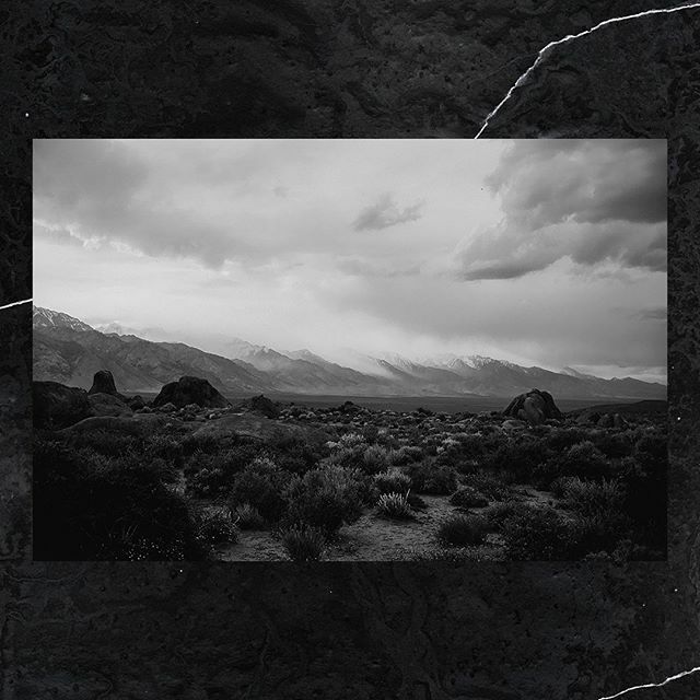 Mason Adams tweet media