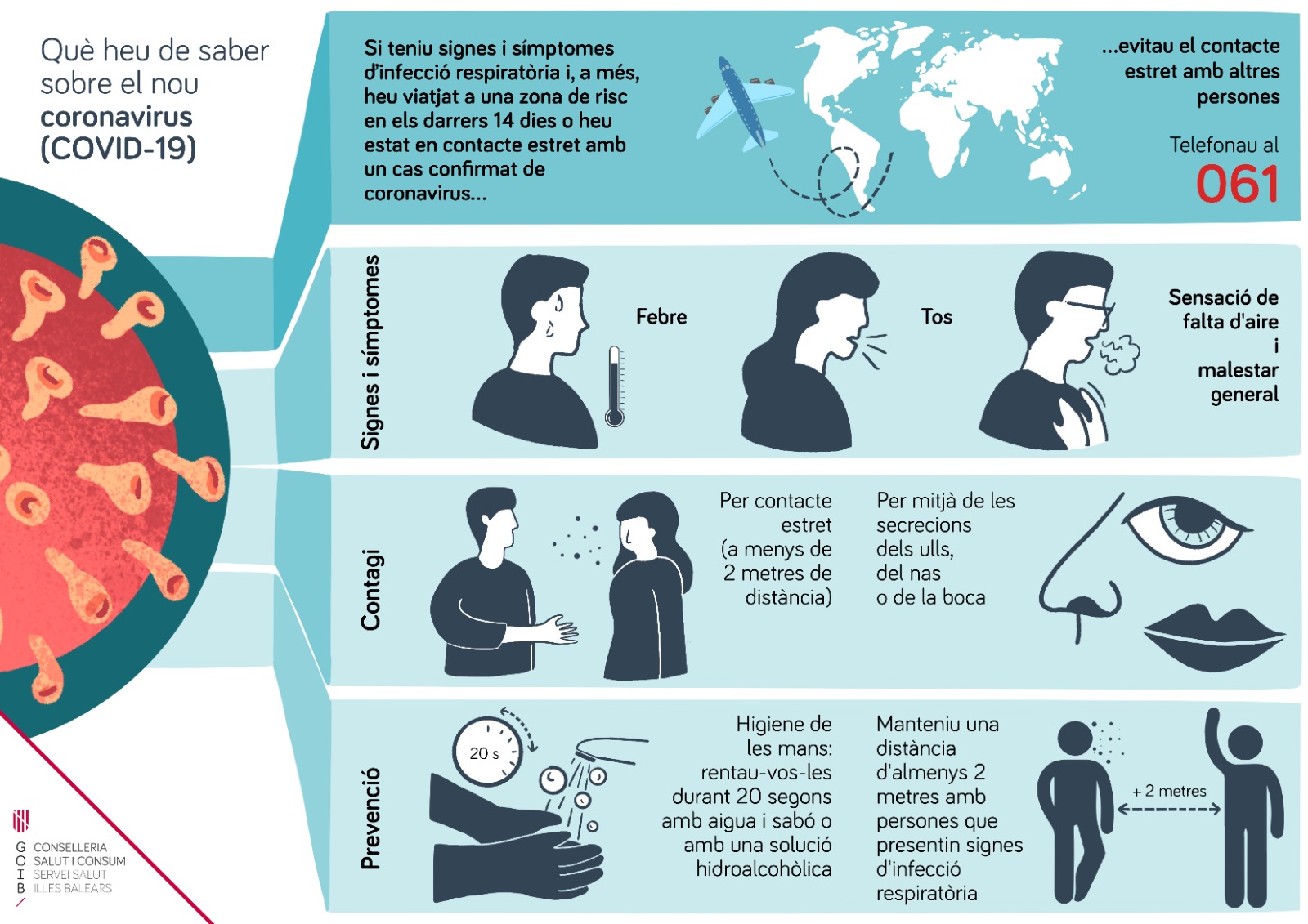 Cetosis que problema es