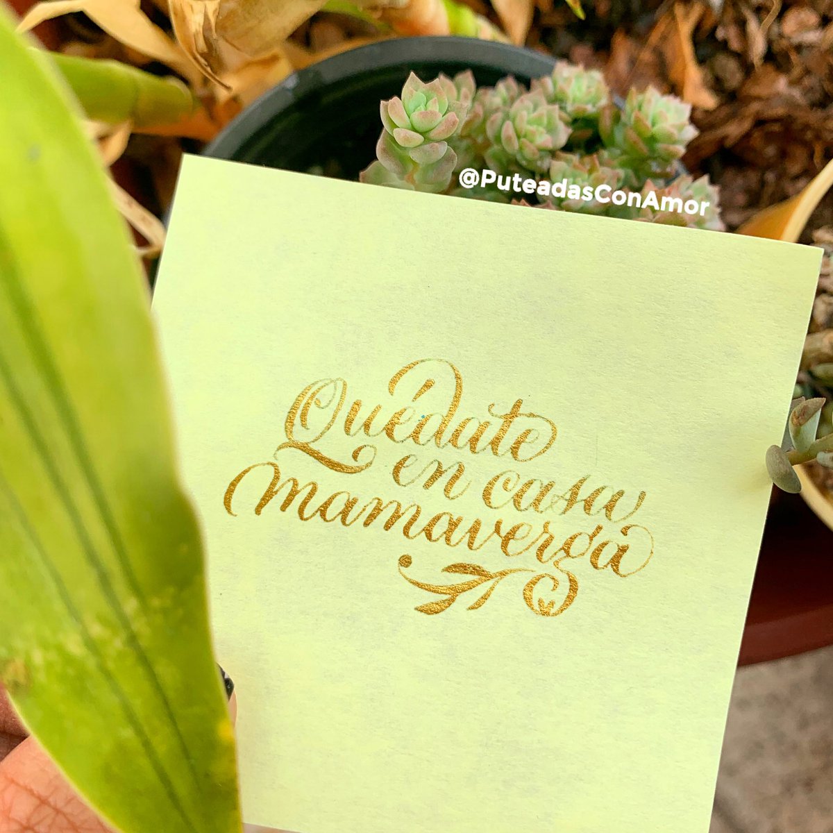 puteadasconamor's tweet photo. https://t.co/MdqaMYxGjJ