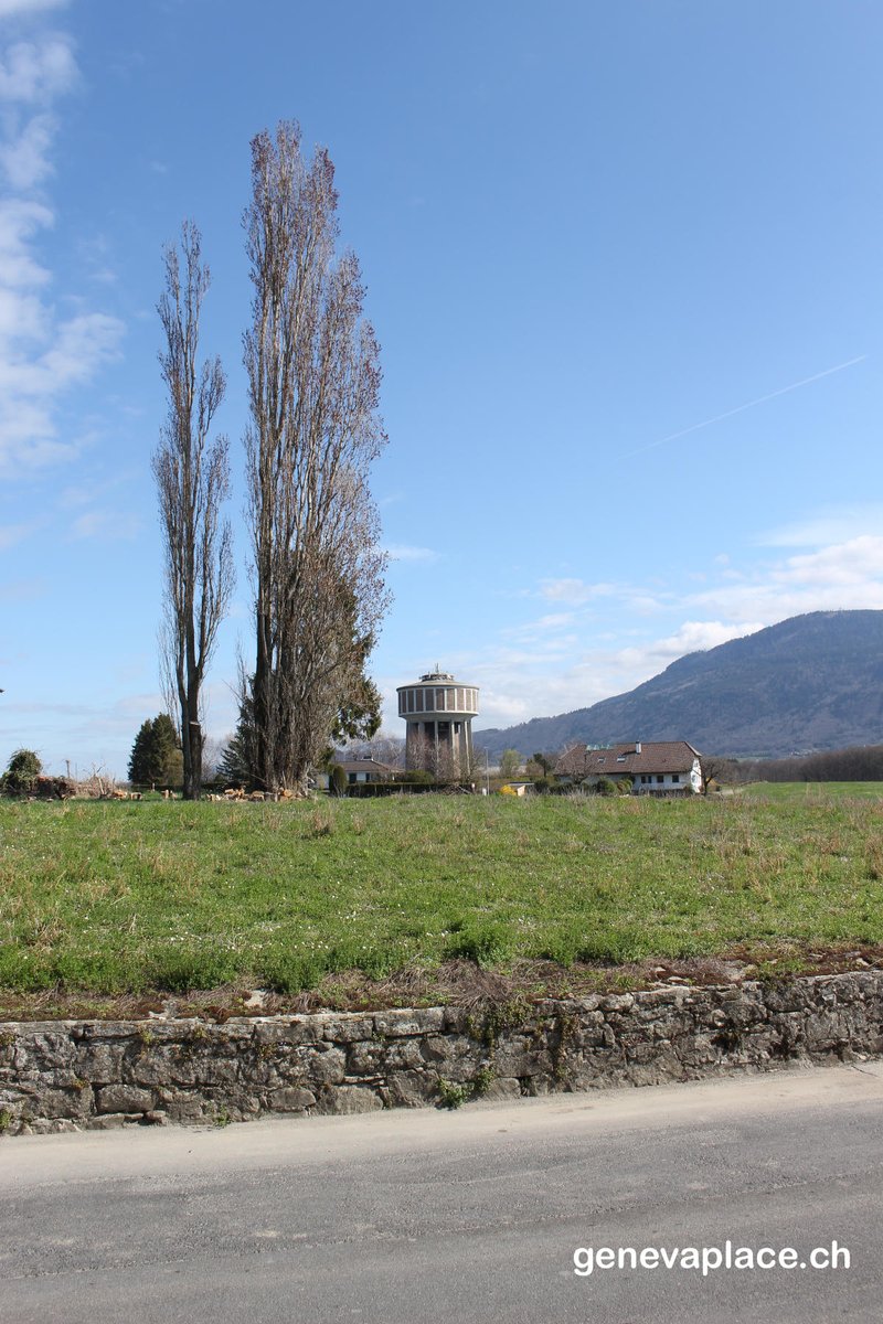 genevaplacech's tweet photo. JussyJussy est une commune Genevoise.
Une commune très calme à la campagne.
#Geneva #Jussy #Switzerland #campagne #visitgeneva #posttenebralux https://t.co/fhxGcuddtH