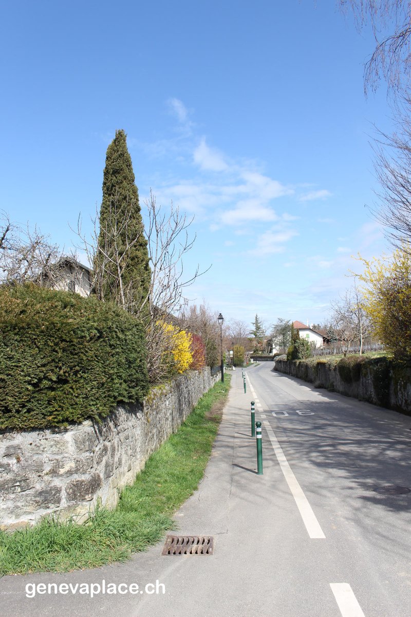 genevaplacech's tweet photo. JussyJussy est une commune Genevoise.
Une commune très calme à la campagne.
#Geneva #Jussy #Switzerland #campagne #visitgeneva #posttenebralux https://t.co/fhxGcuddtH