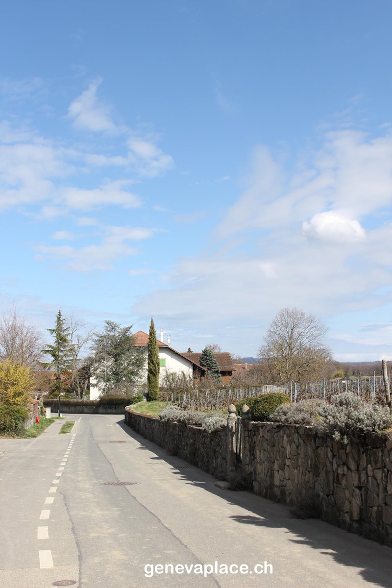 genevaplacech's tweet photo. JussyJussy est une commune Genevoise.
Une commune très calme à la campagne.
#Geneva #Jussy #Switzerland #campagne #visitgeneva #posttenebralux https://t.co/fhxGcuddtH