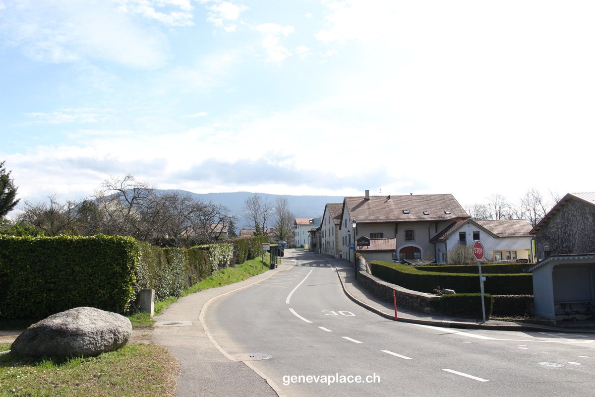 genevaplacech's tweet photo. JussyJussy est une commune Genevoise.
Une commune très calme à la campagne.
#Geneva #Jussy #Switzerland #campagne #visitgeneva #posttenebralux https://t.co/fhxGcuddtH