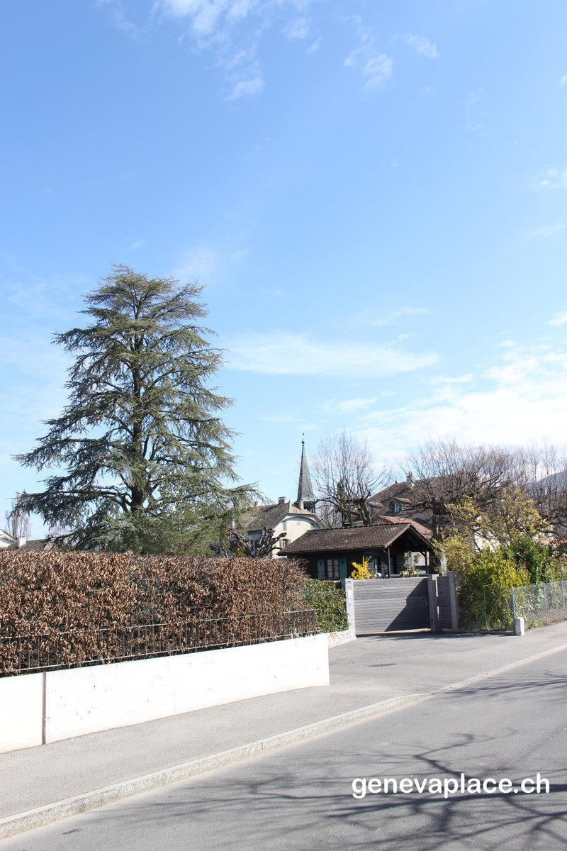genevaplacech's tweet photo. Jussy, I really like the green spaces and the apparent silence.
#Geneva #Jussy #Switzerland #campagne #visitgeneva #posttenebralux https://t.co/6S5xNvrk9w